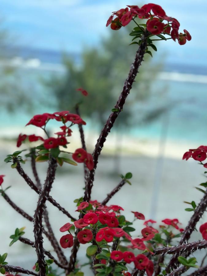 Lazzlla Beach Front Apartments Hulhumalé Exteriér fotografie
